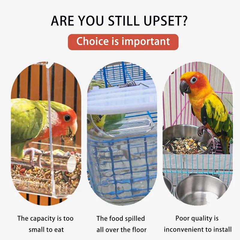 🐦Automatic No-Spill Transparent Bird Feeder