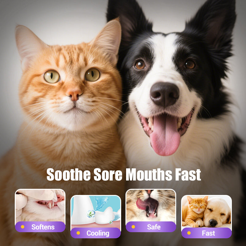 🔥 LAST DAY -BUY 1 GET 1 FREE 🔥 Pet Oral Repair Gel Toothbrush 🐱🐶