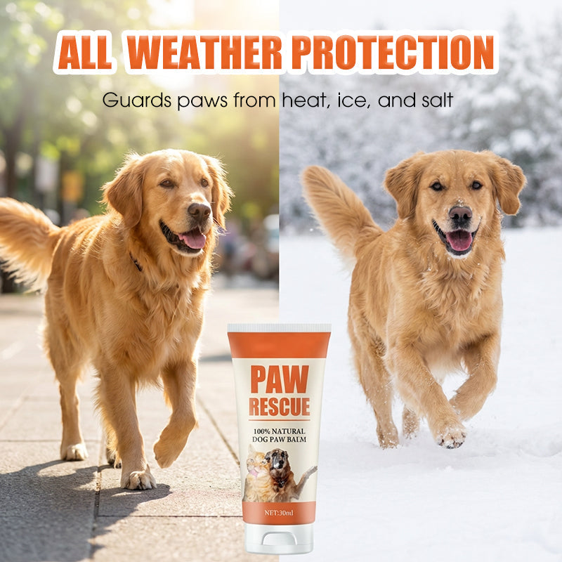 Soothing Paw Balm for Cracked Dog & Cat Paws